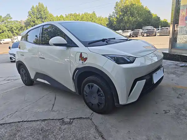 BYD Seagull 2024