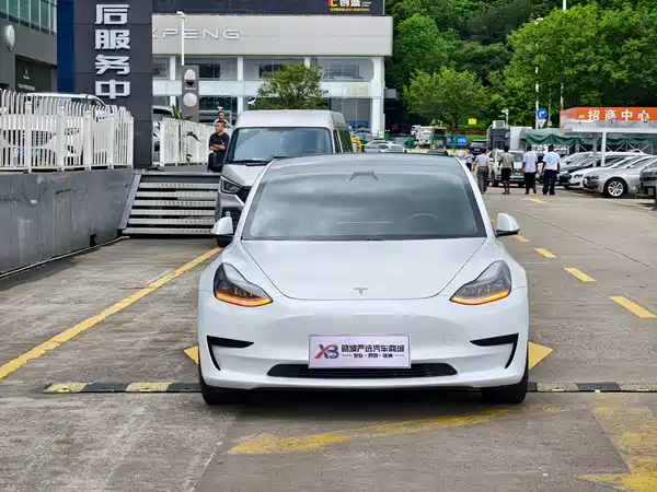 Tesla Model 3 2021