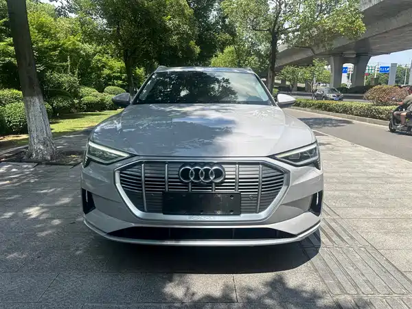 Audi e-tron 2021