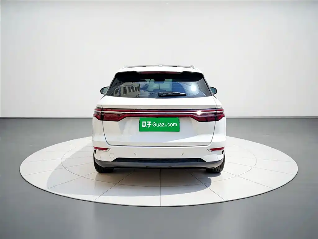 BYD Pro New Energy 2020