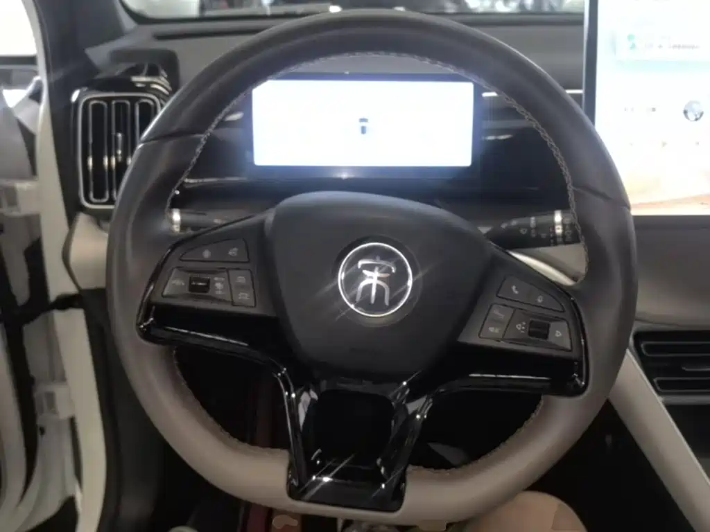 BYD Song Pro New Energy 2024 — фото 11