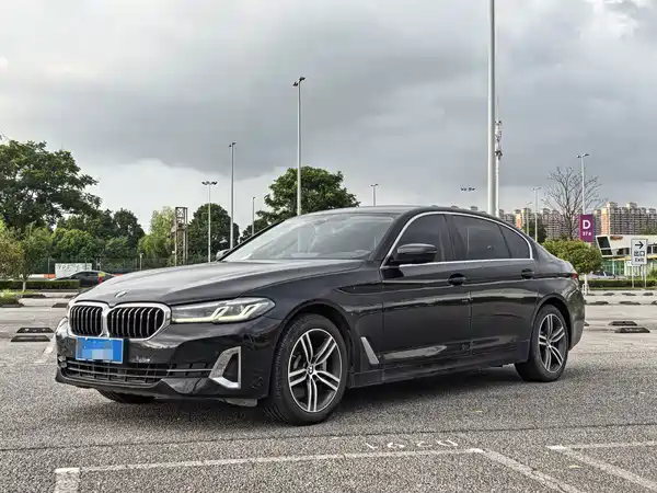 BMW 5 Series 2021