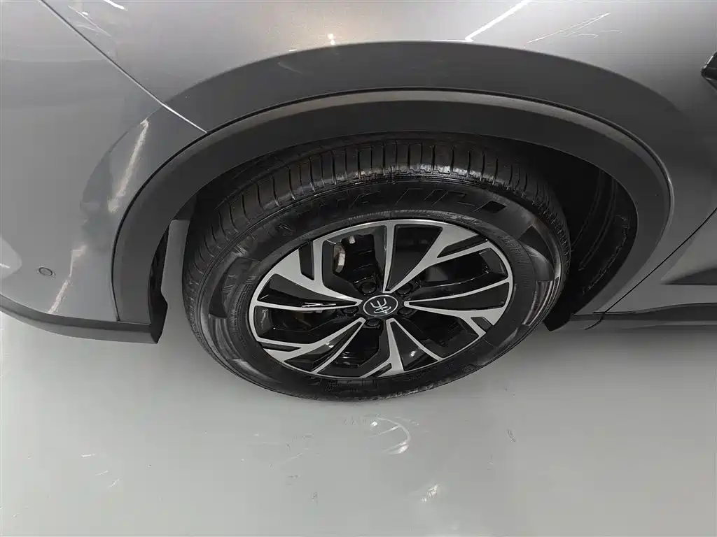 BYD Pro New Energy 2025 — фото 25