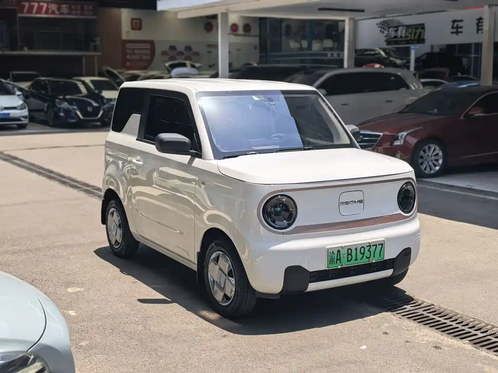 Geely Galaxy Panda 2024