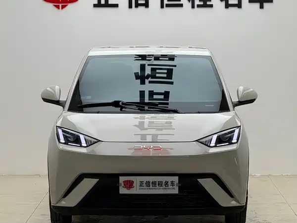 BYD Seagull 2024