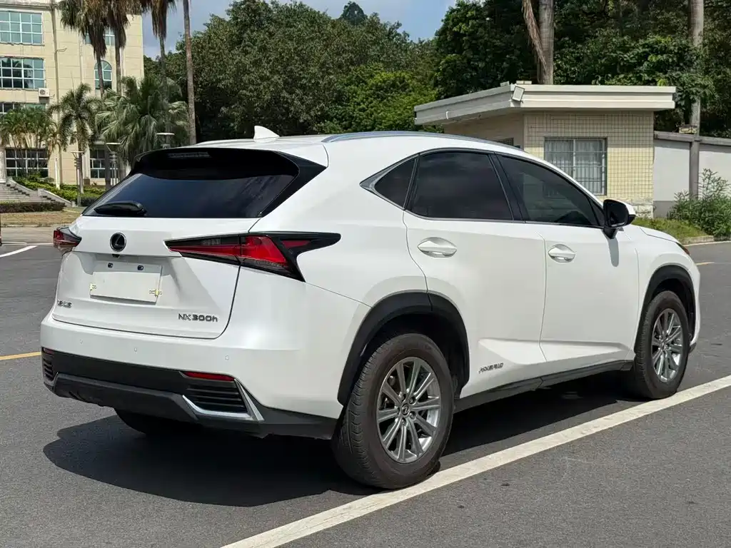 Lexus NX 2020 — фото 10