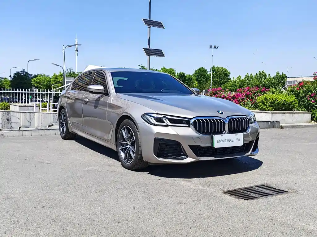 BMW 5 Series New Energy 2021