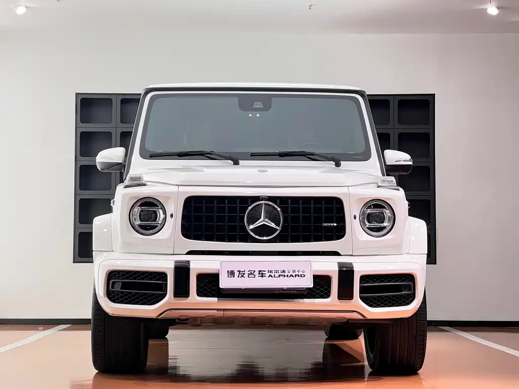 Mercedes-Benz G-Class 2019 — фото 2