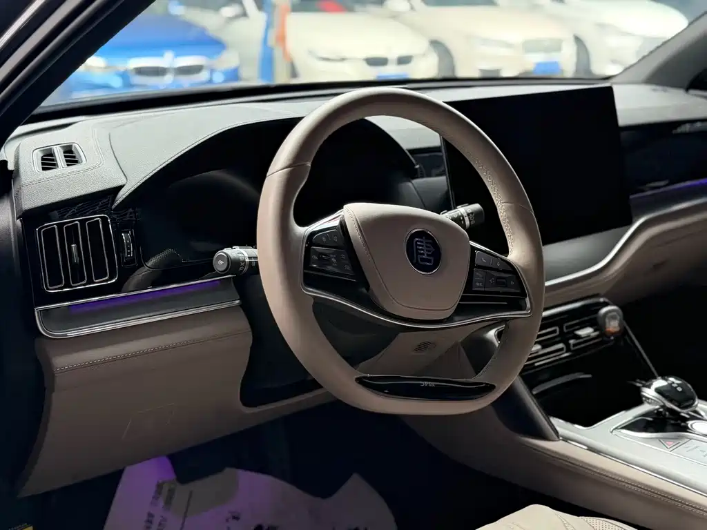 BYD Tang New Energy 2024