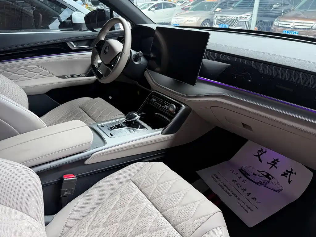BYD Tang New Energy 2024