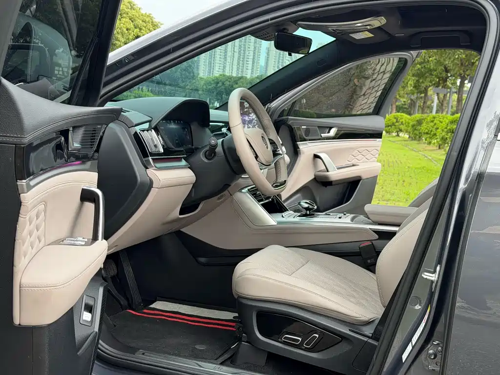 BYD Tang New Energy 2024