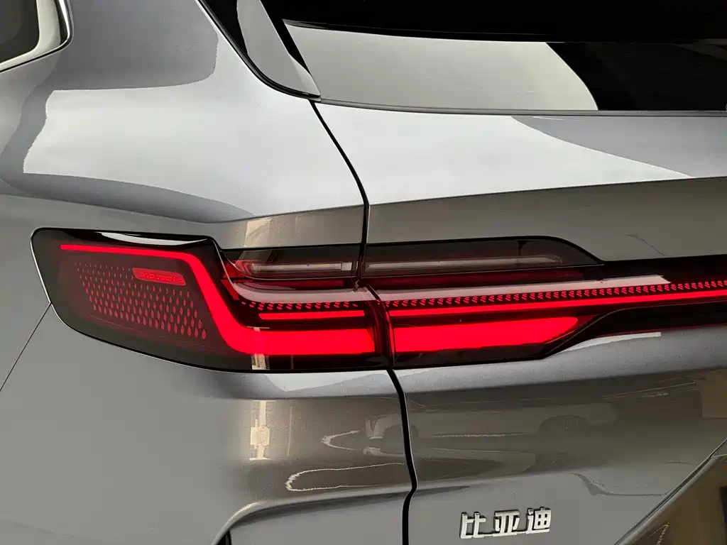 BYD PLUS New Energy 2024 — фото 18