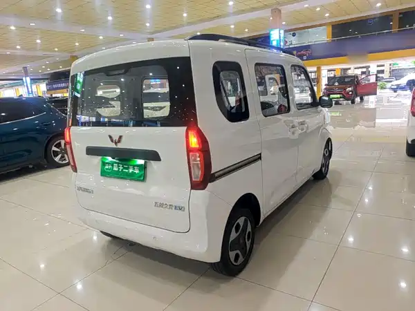 Wuling Zhiguang New Energy 2026