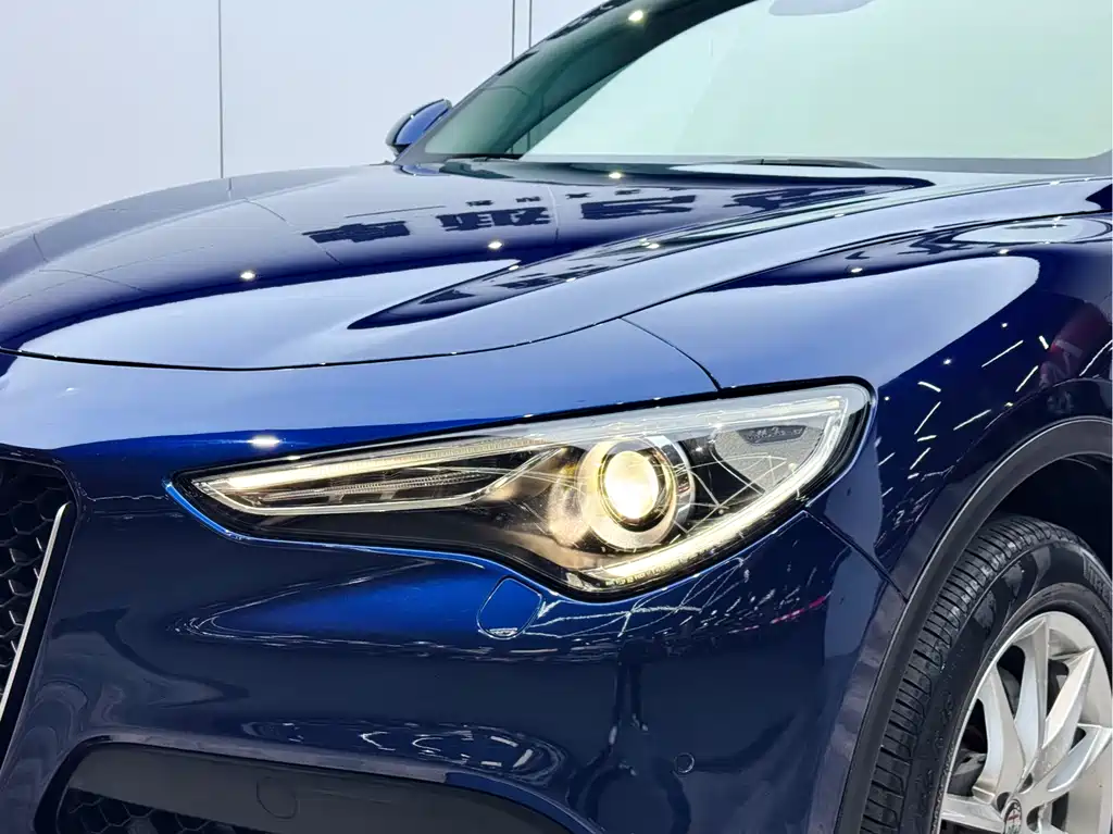 Alfa Romeo Stelvio 2019 — фото 25