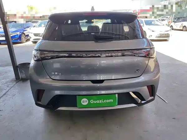 BYD Dolphin 2024