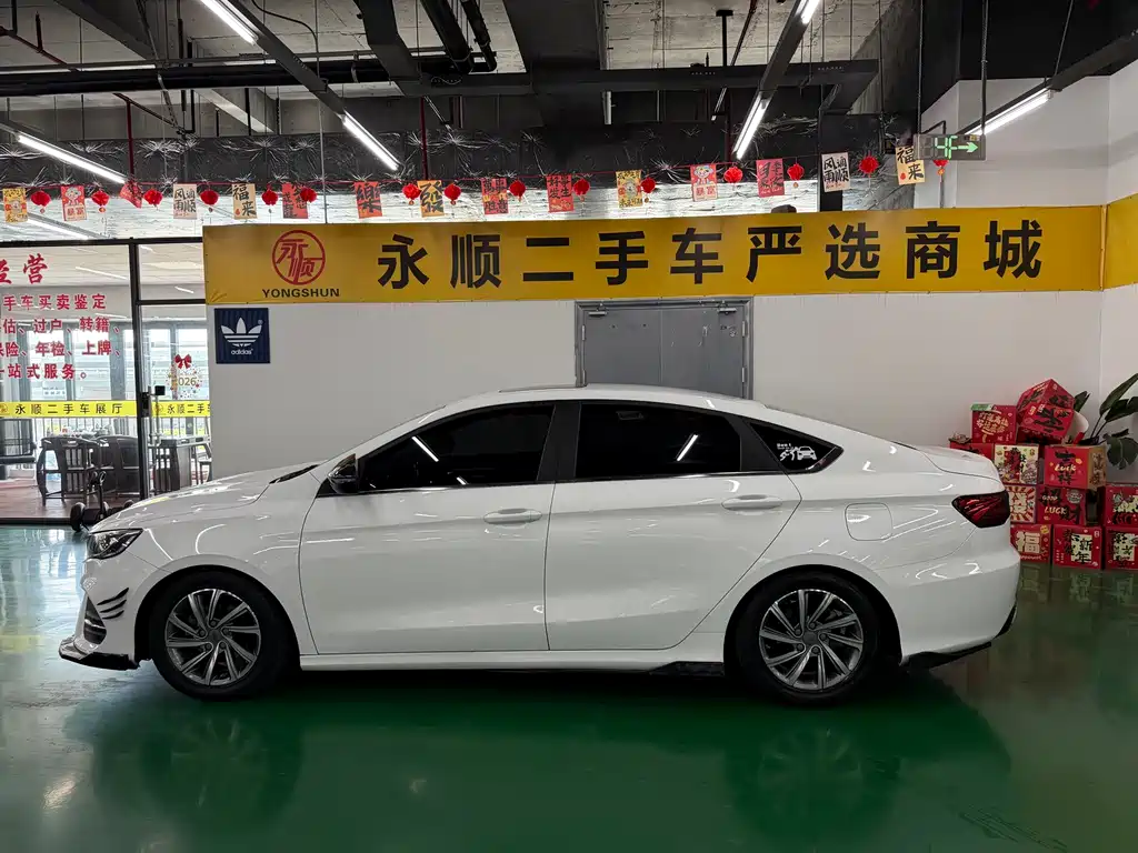 Geely Binrui 2019 — фото 10