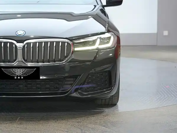 BMW 5 Series New Energy 2022