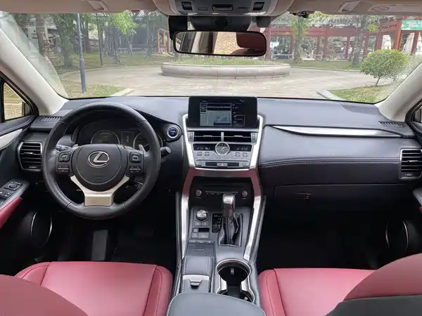 Lexus NX 2020