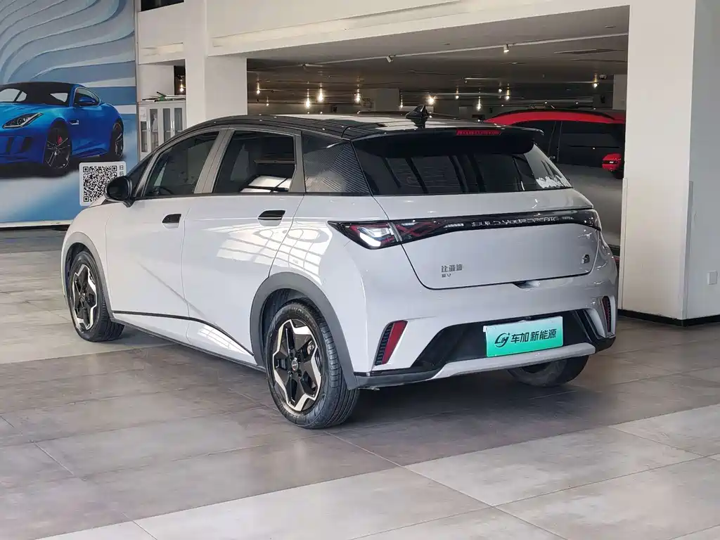BYD Dolphin 2022