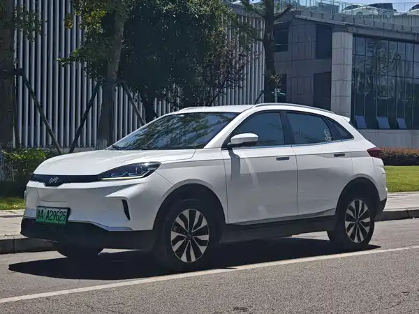 WM Motor EX5 2019
