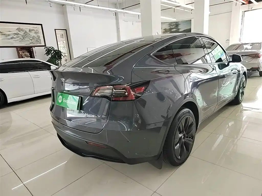 Tesla Model Y 2021 — фото 7
