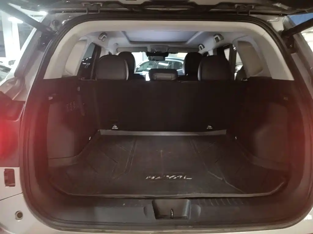 Haval Big Dog PLUS New Energy 2023 — фото 19