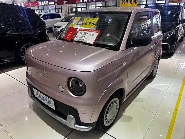 Geely Galaxy Panda 2025