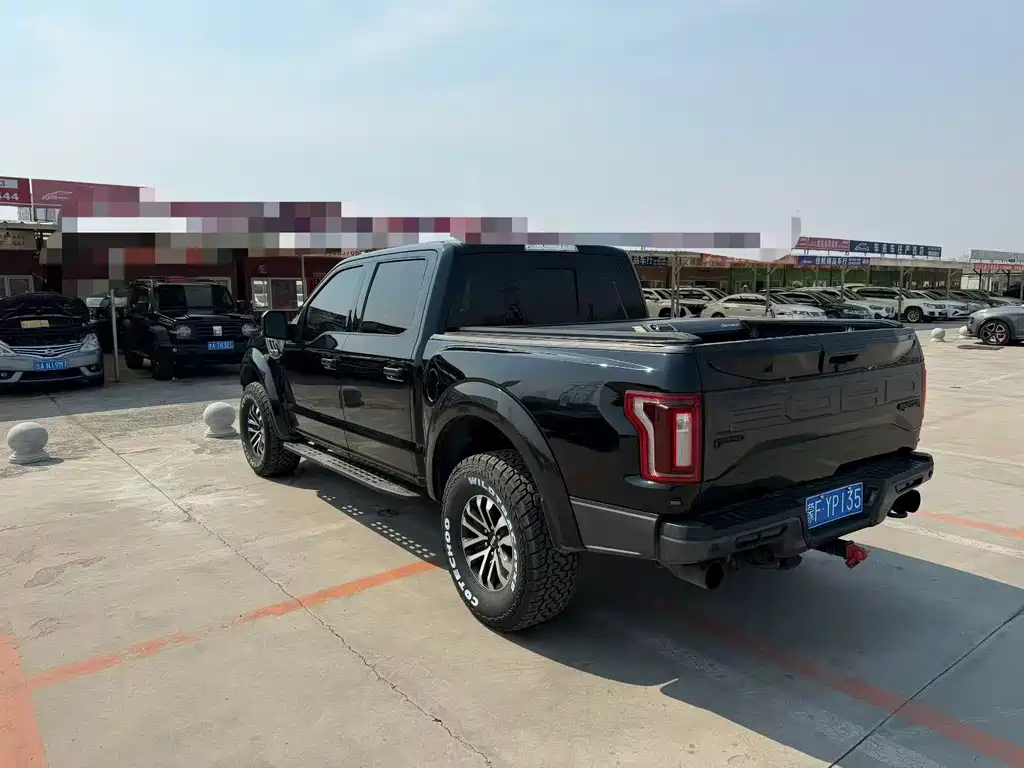 Ford F-150 Raptor 2019 — фото 9