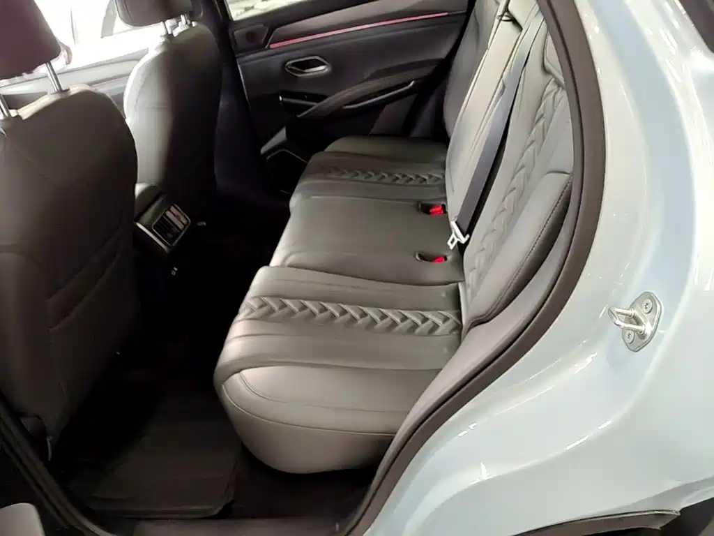 BYD Song L DM-i 2025 — фото 17