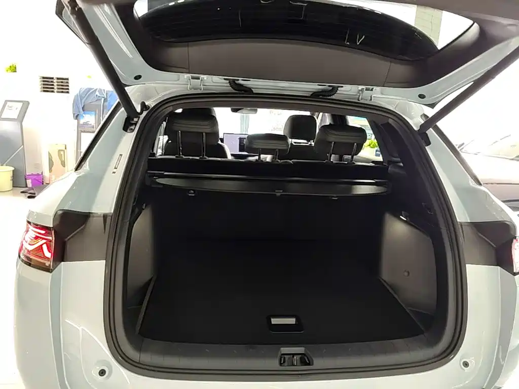 BYD Song L DM-i 2025 — фото 19