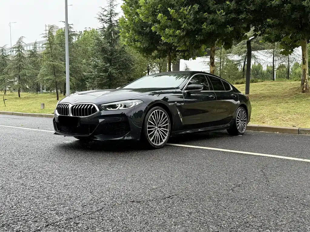 BMW 8 Series 2021