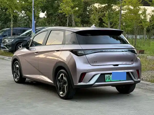 BYD Dolphin 2022