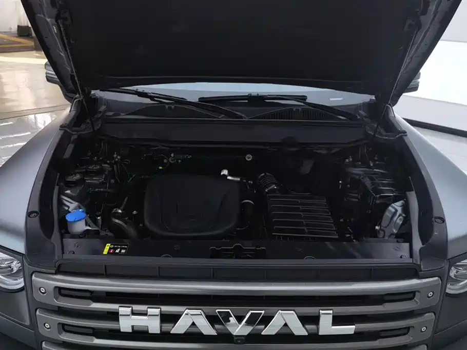 Haval Menglong New Energy 2025 — фото 10