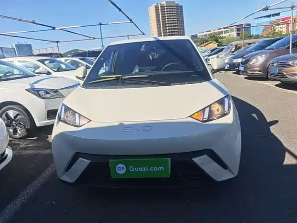 BYD Seagull 2024