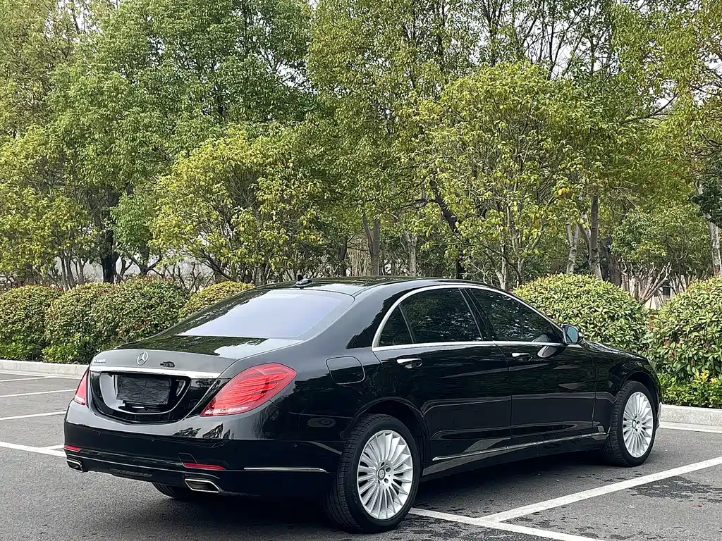 Mercedes-Benz S-Class 2013 — фото 19