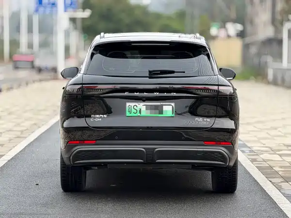 Chery Fengyun T9 2024