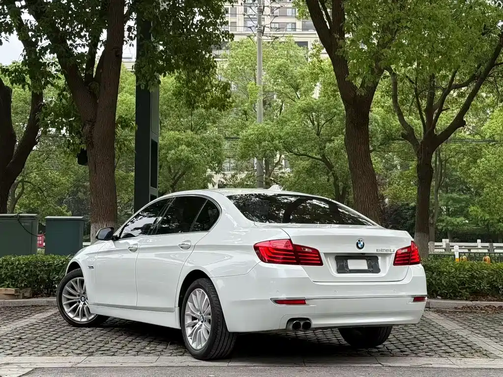 BMW 5 Series 2014