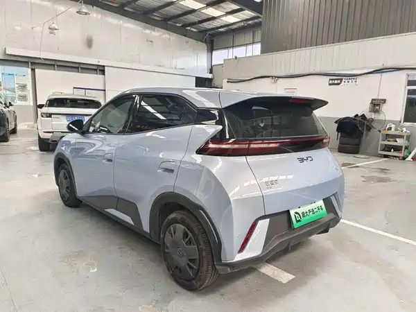 BYD Seagull 2024