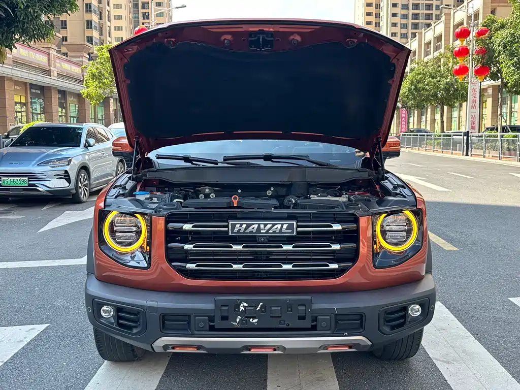 Haval Big Dog 2020 — фото 14