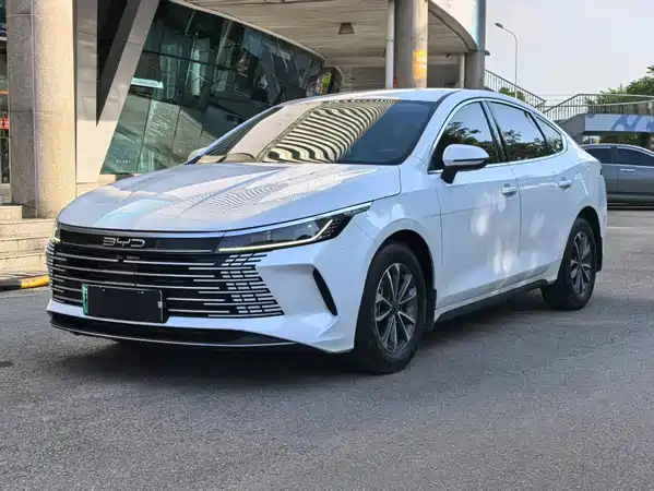 BYD Destroyer 05 2024
