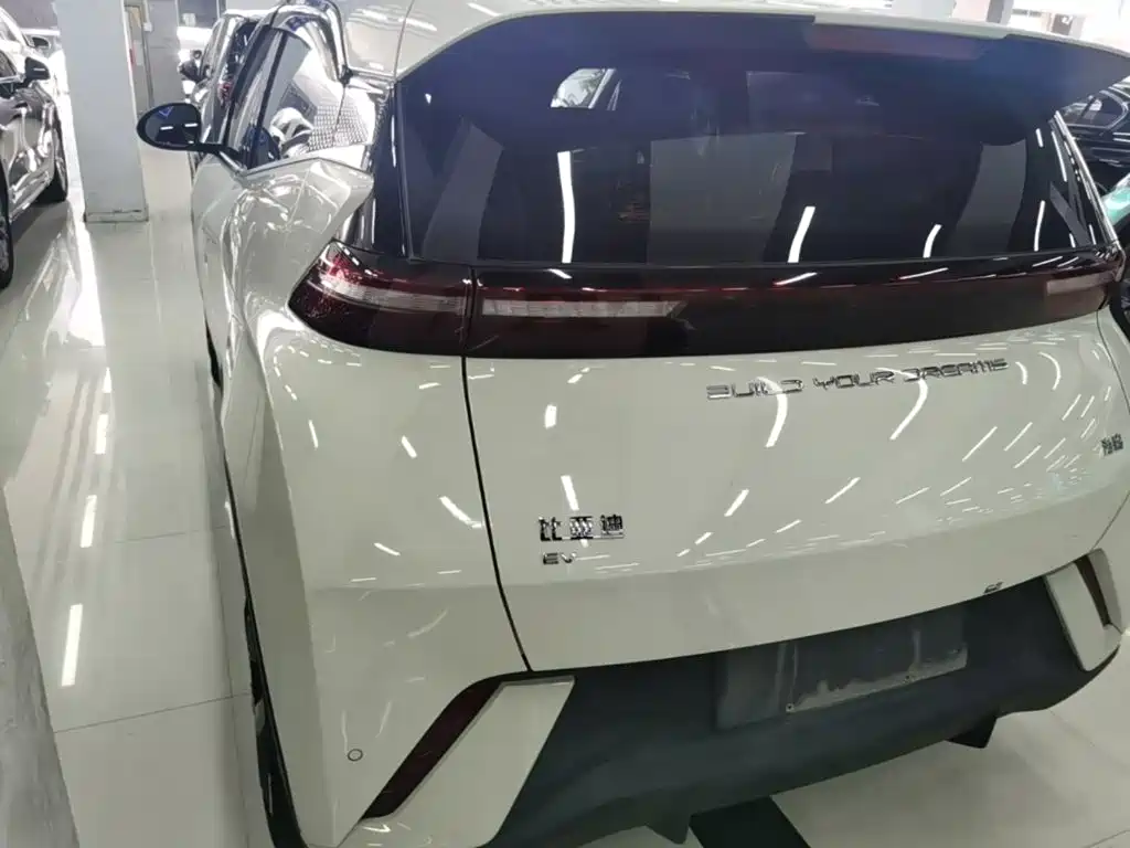 BYD Seagull 2024