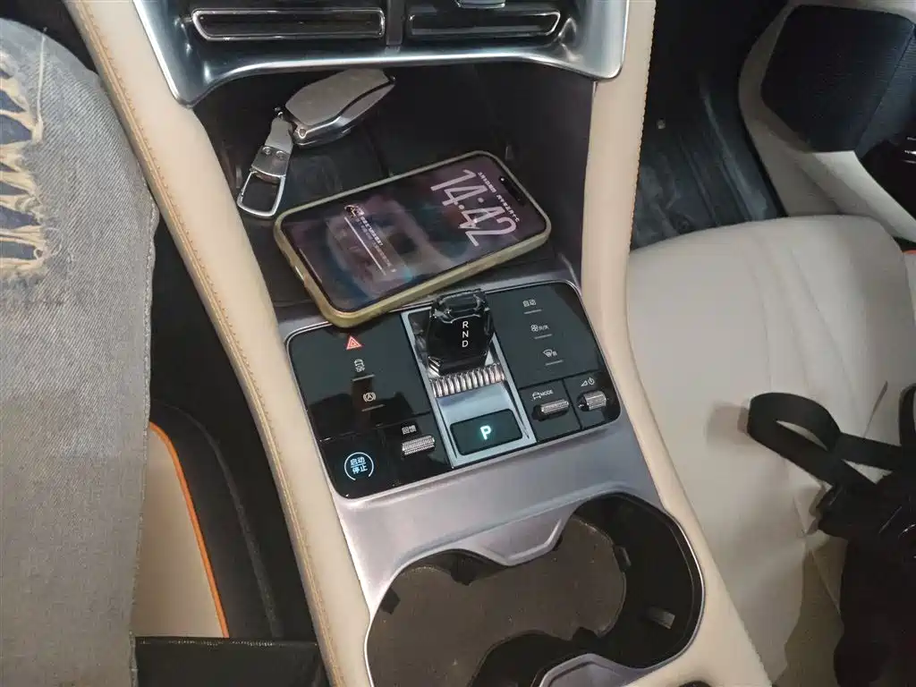 BYD PLUS New Energy 2023 — фото 10