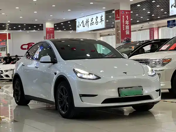Tesla Model Y 2024