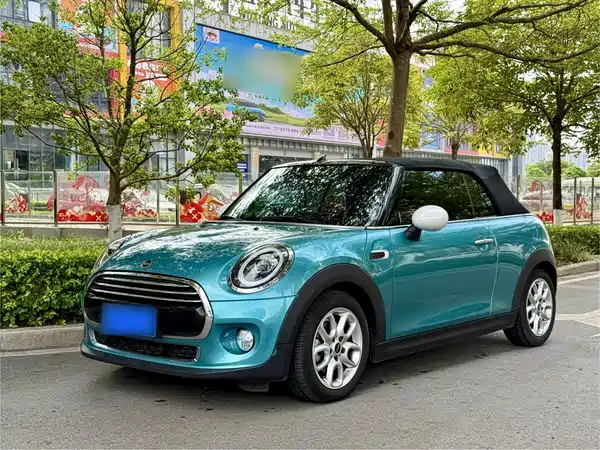 MINI MINI 2019