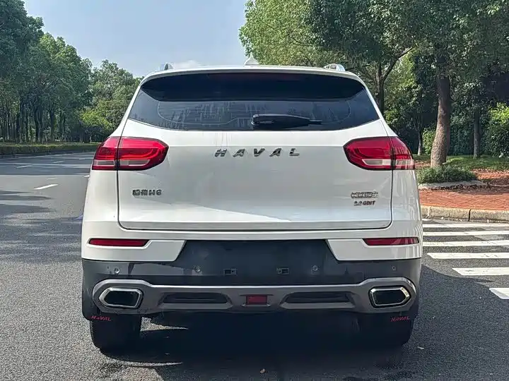 Haval H6 2019 — фото 8