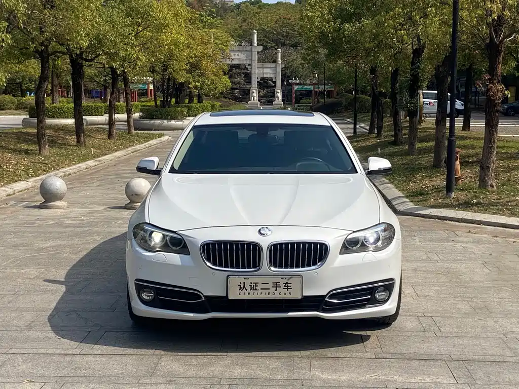 BMW 5 Series 2016 — фото 2