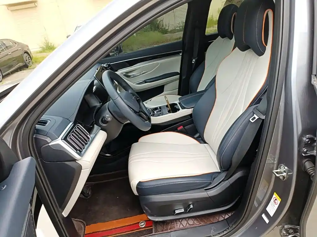 BYD Song PLUS New Energy 2024 — фото 15