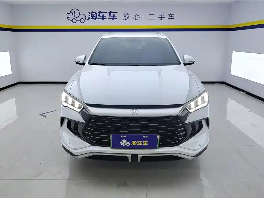 BYD Pro New Energy 2024 — фото 2