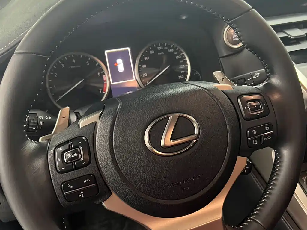 Lexus NX 2020 — фото 11