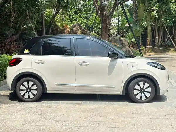 Wuling Bingo 2024